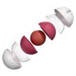 Bolas Titleist Pro V1x c/12